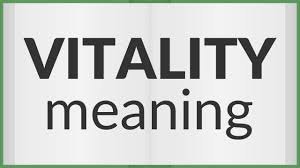 vitality meaning​