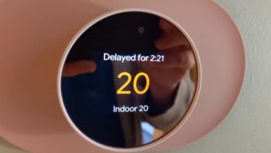 nest says delayed