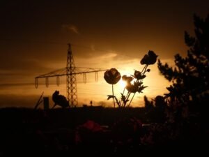 powerline blog