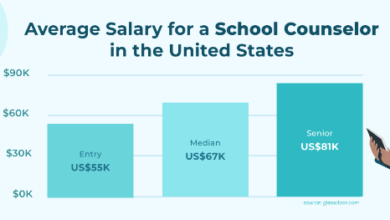 school counselor