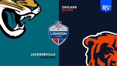 chicago bears vs jacksonville jaguars match player stats​