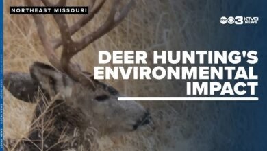 hunting season news​